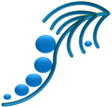 blue chrysalis